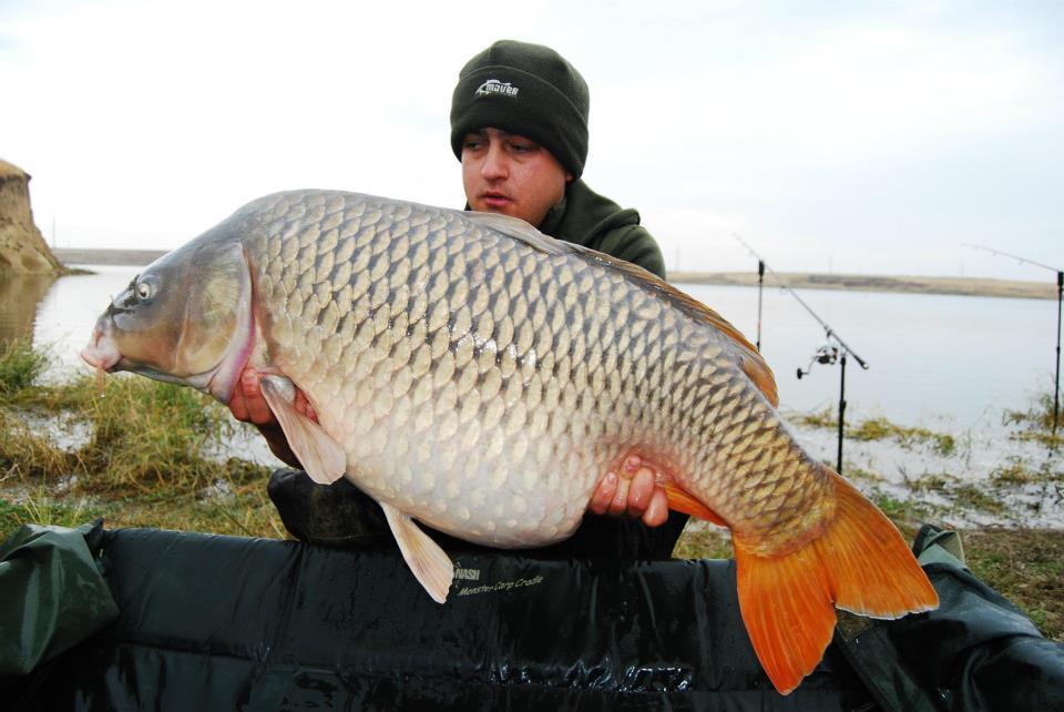 CONCURS LIKE-URI  - VOT PE FACEBOOK 